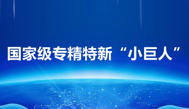 喜报！飞扬骏研入选工信部建议支持的专精特新“小巨人”企业