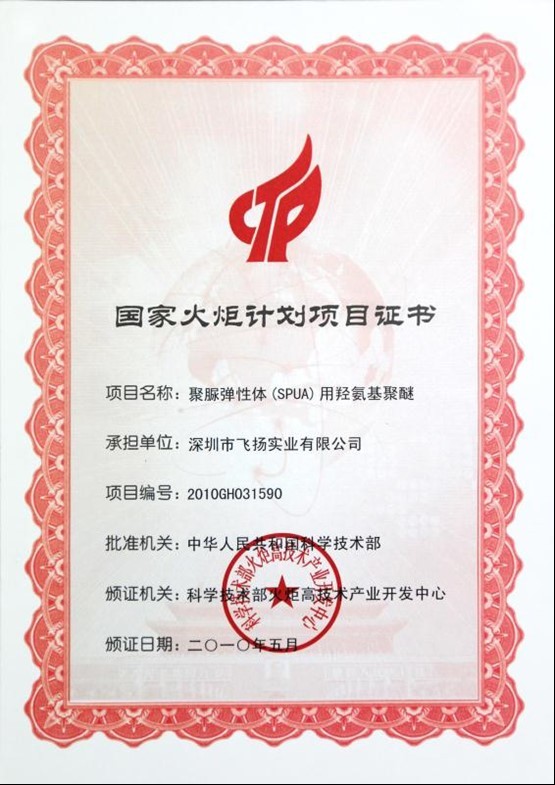 火炬计划项目证书